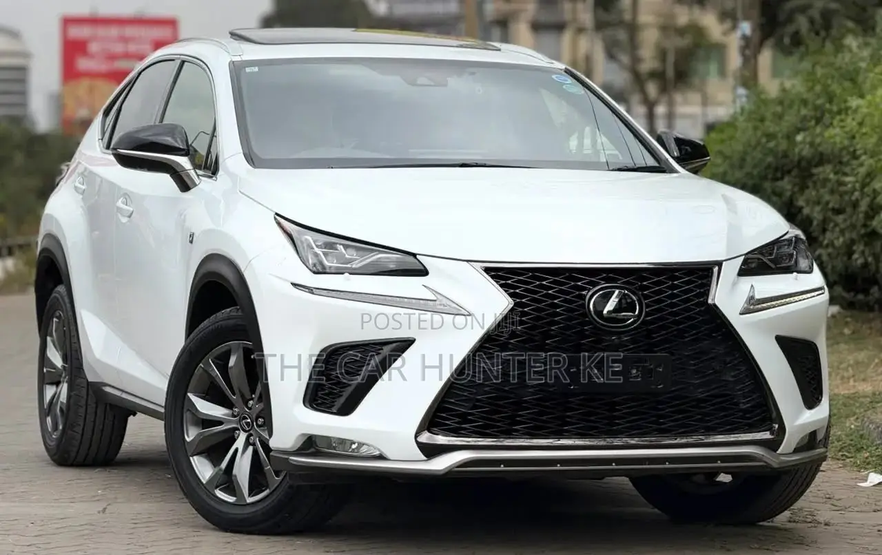Lexus NX 2019 Pearl