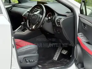 Lexus NX 2019 Pearl
