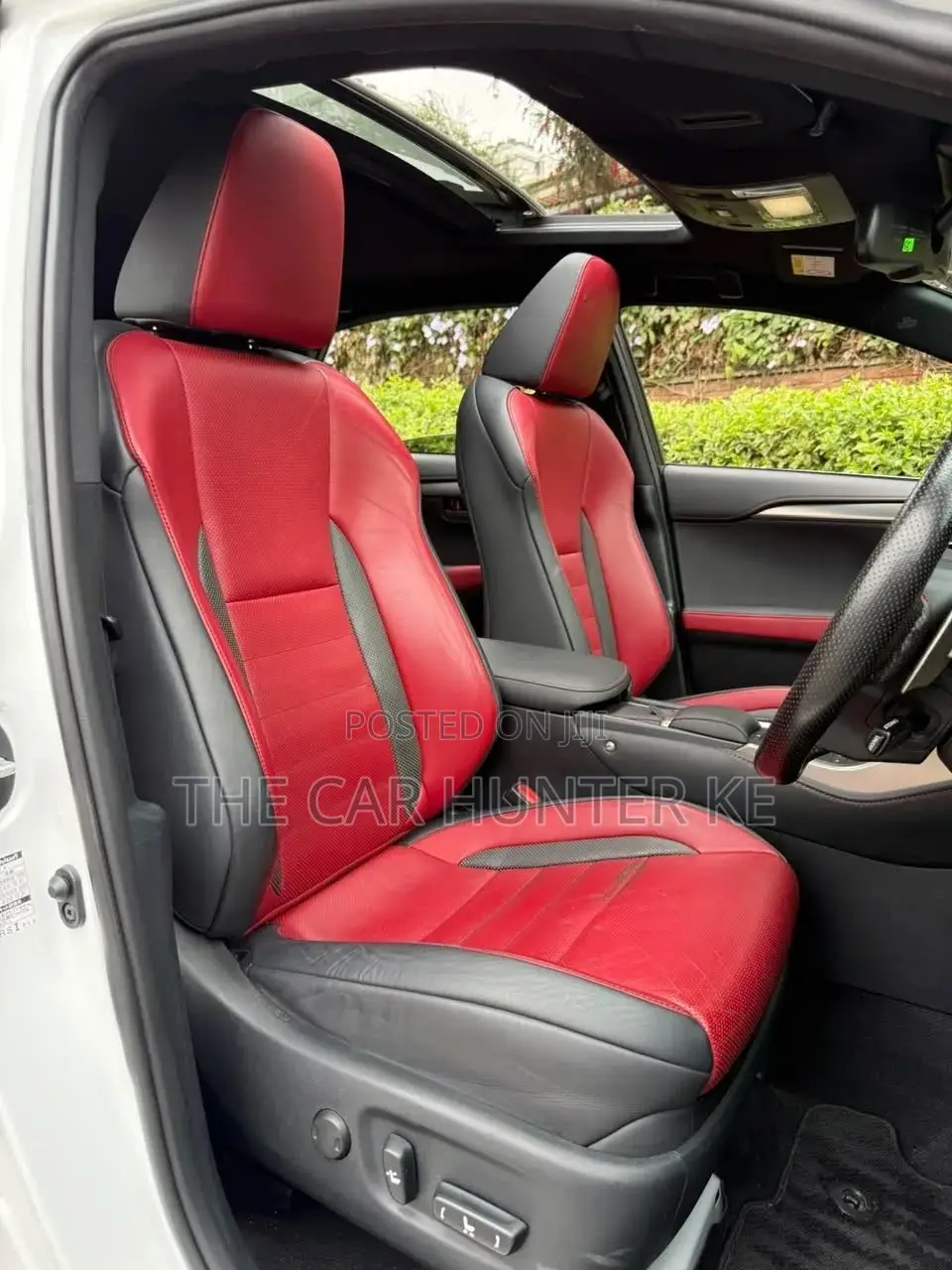 Lexus NX 2019 Pearl