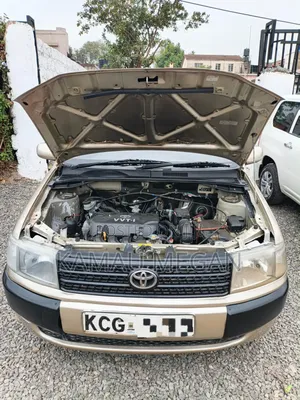 Toyota Probox 1.5 DX 2WD 2009 Beige