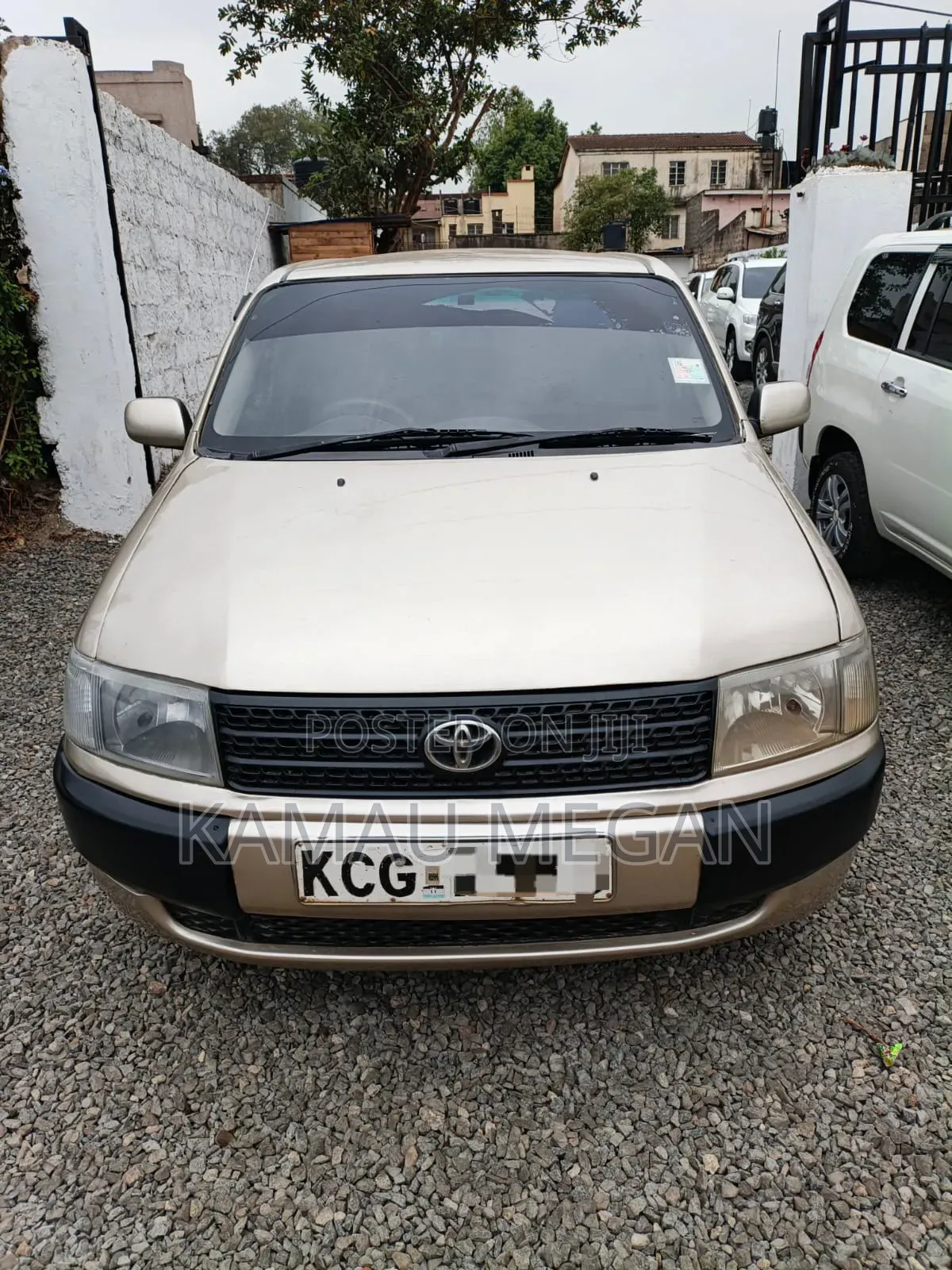 Toyota Probox 1.5 DX 2WD 2009 Beige