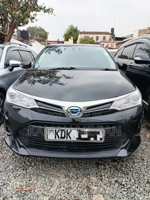 Toyota Corolla Fielder 2016 Matt Black
