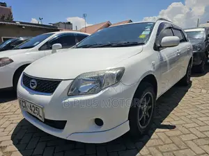 Toyota Corolla Fielder 2010 White