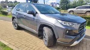Toyota RAV4 Adventure AWD 2020 Gray