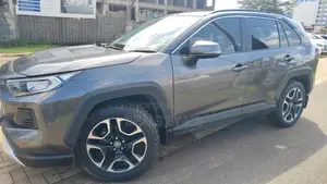 Toyota RAV4 Adventure AWD 2020 Gray