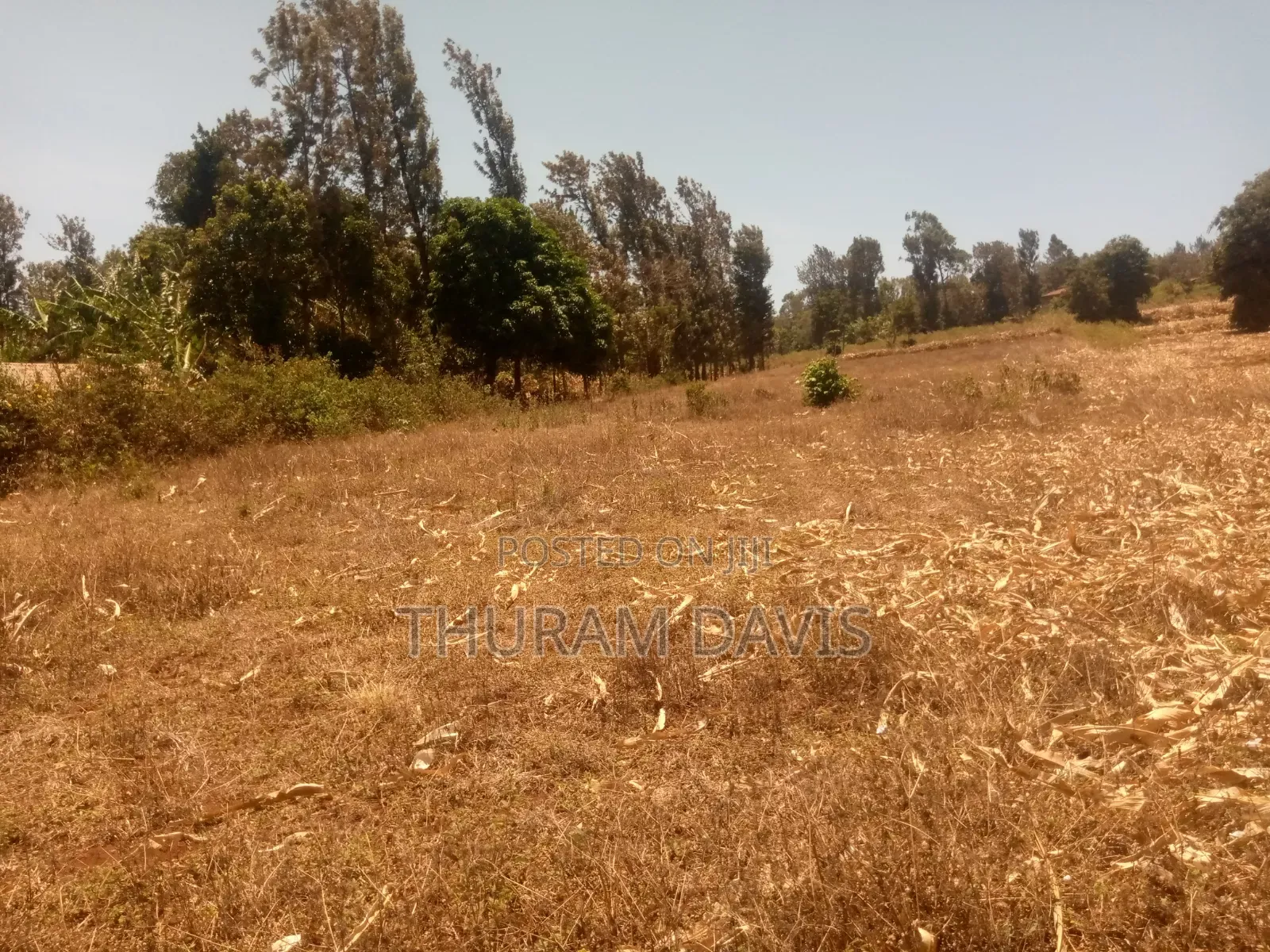 Meru University Plot 10 Points