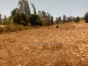 Meru University Plot 10 Points