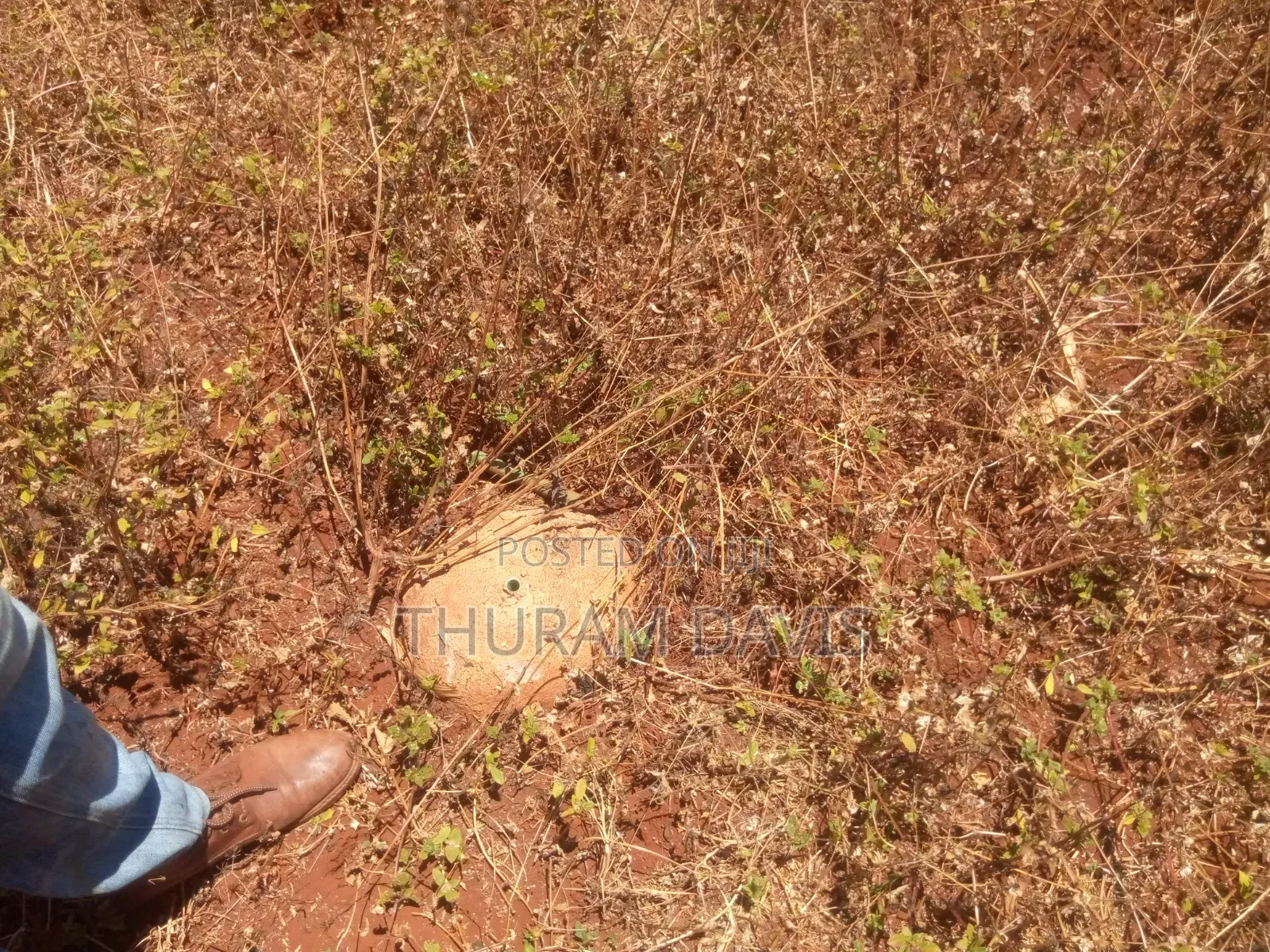 Meru University Plot 10 Points