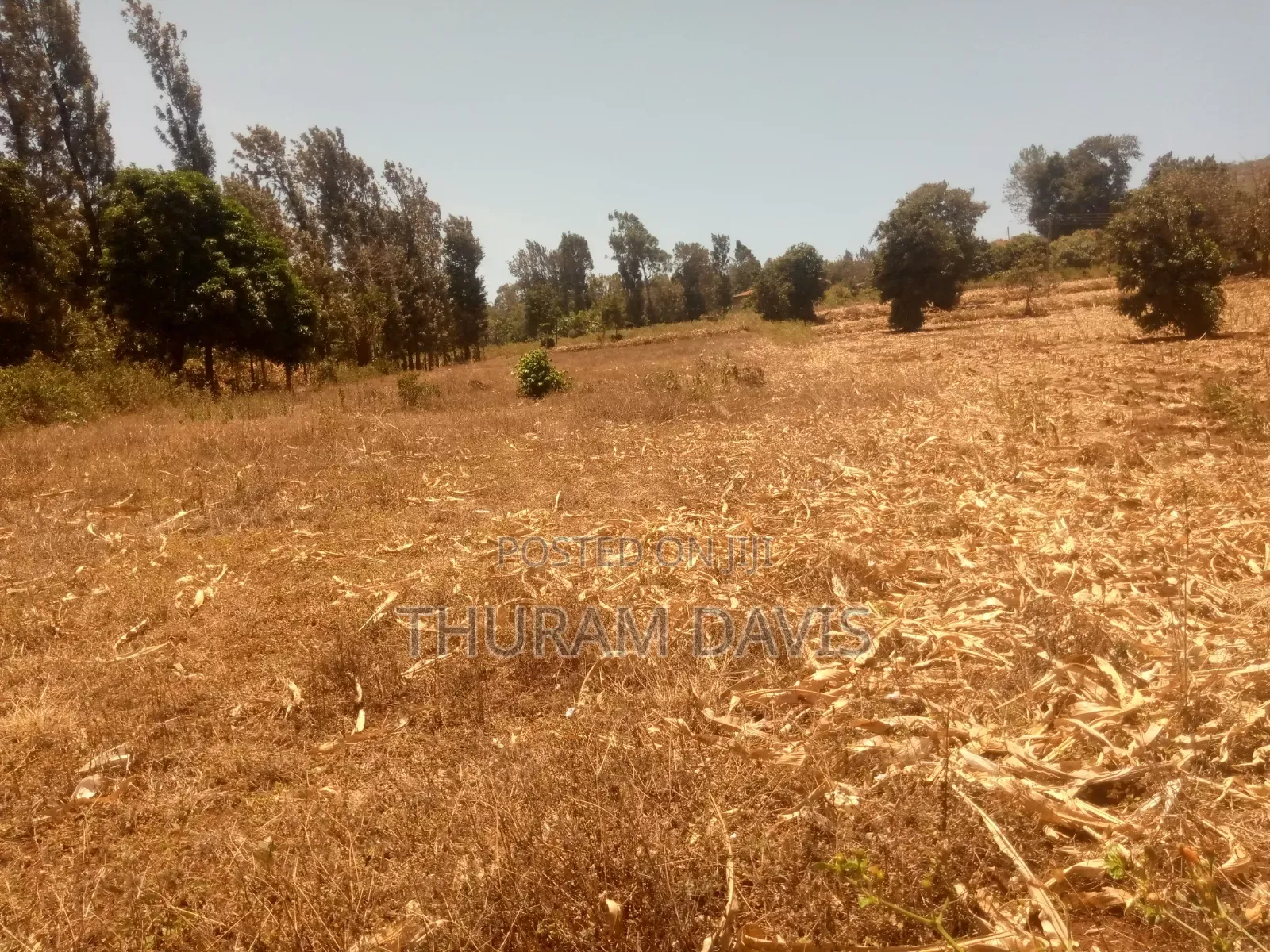 Meru University Plot 10 Points