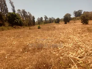 Meru University Plot 10 Points