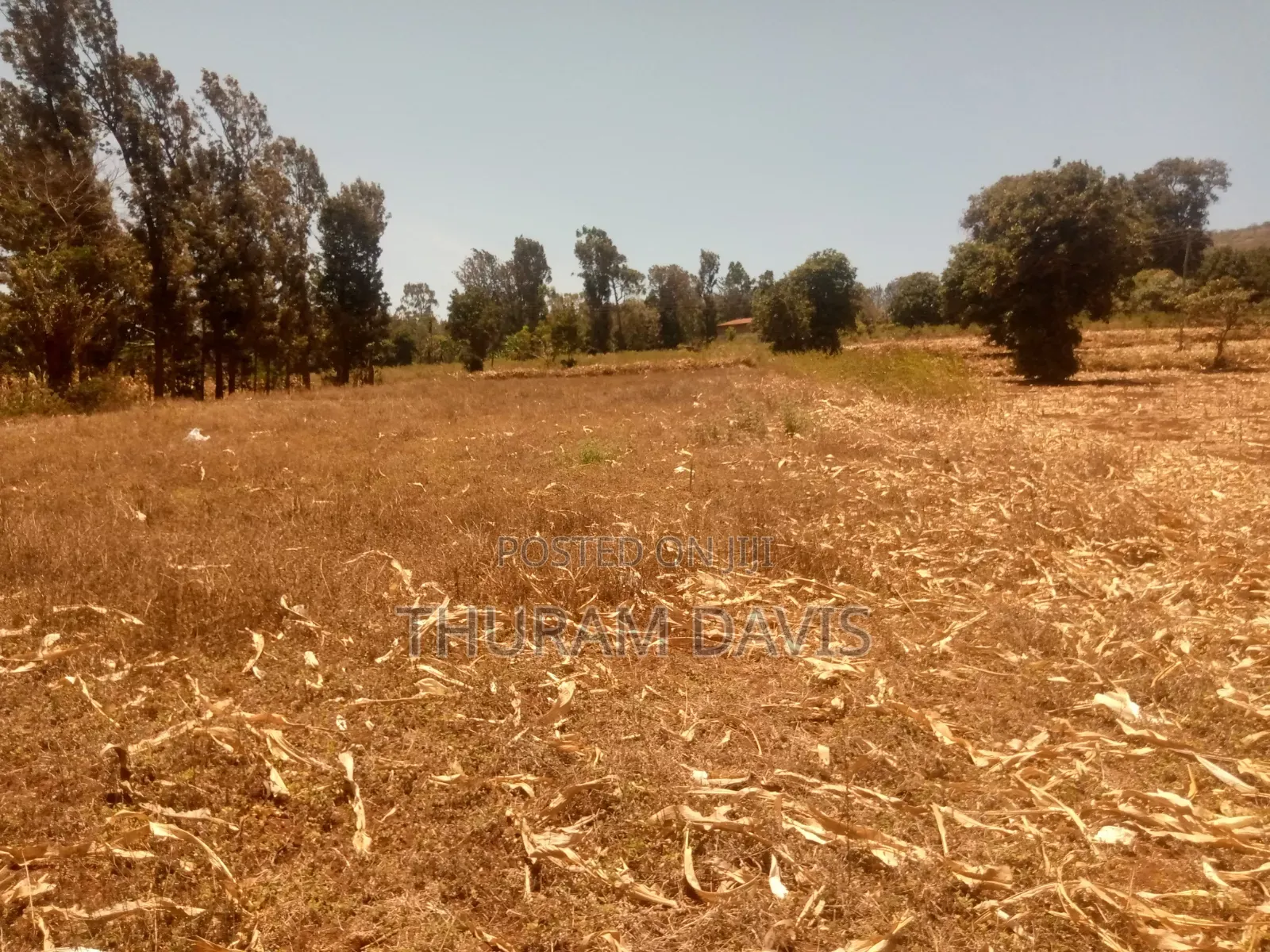 Meru University Plot 10 Points