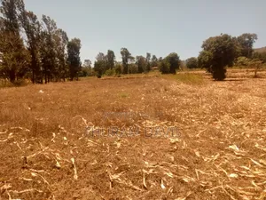 Meru University Plot 10 Points