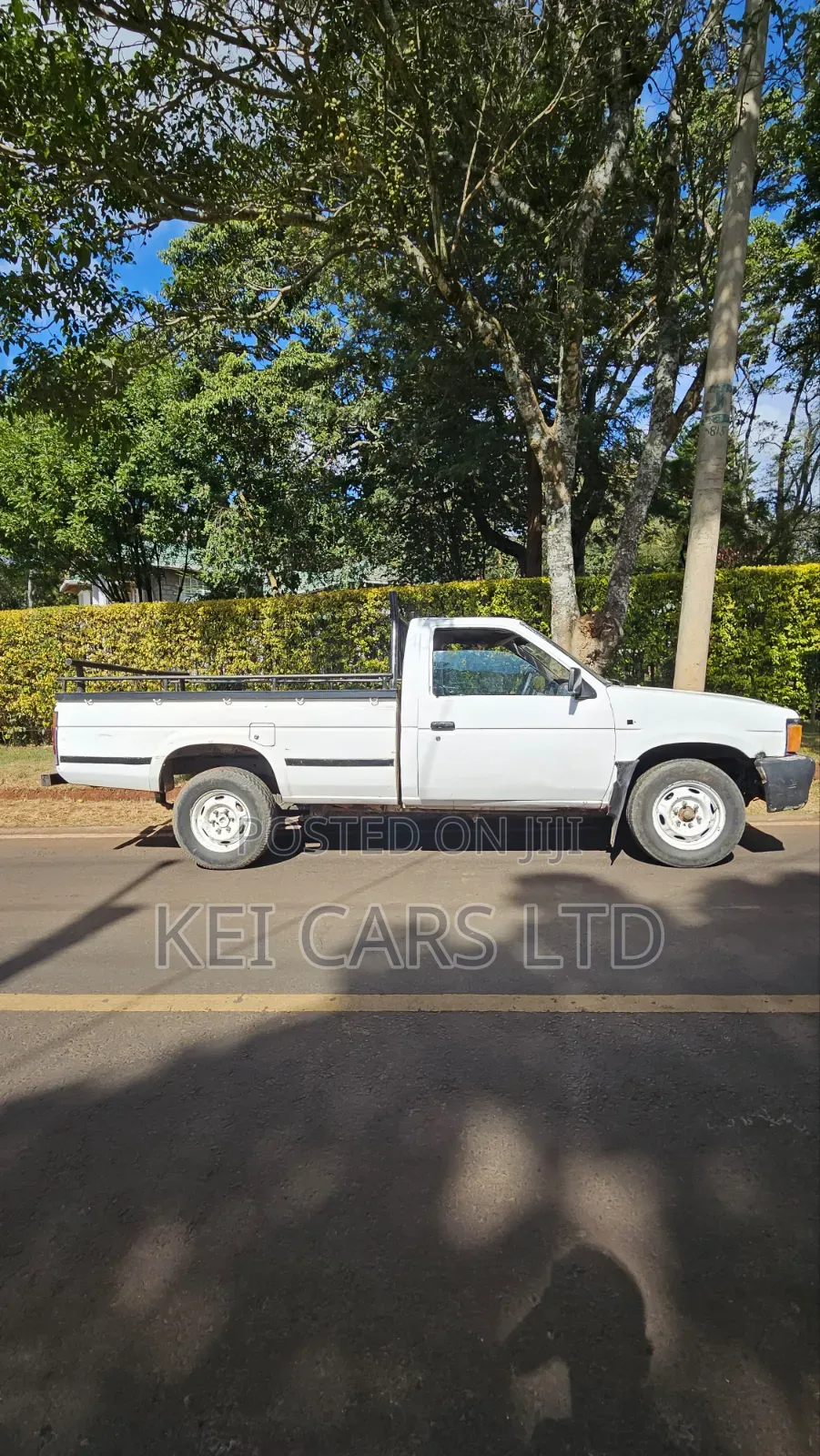 Nissan Hardbody 1996 White