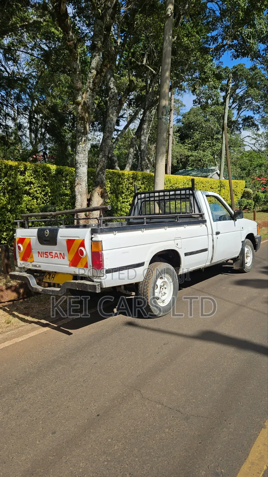 Nissan Hardbody 1996 White