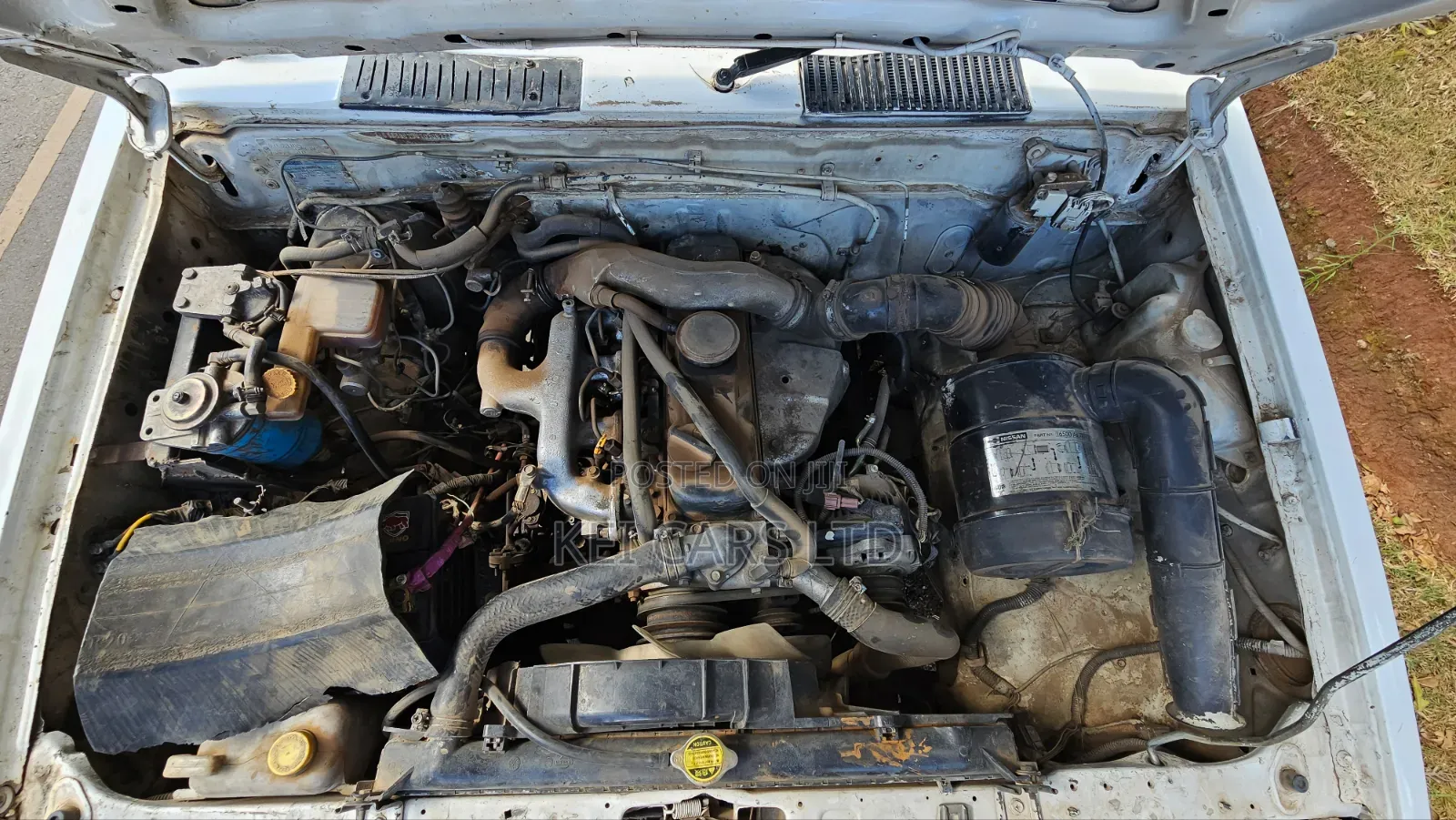 Nissan Hardbody 1996 White