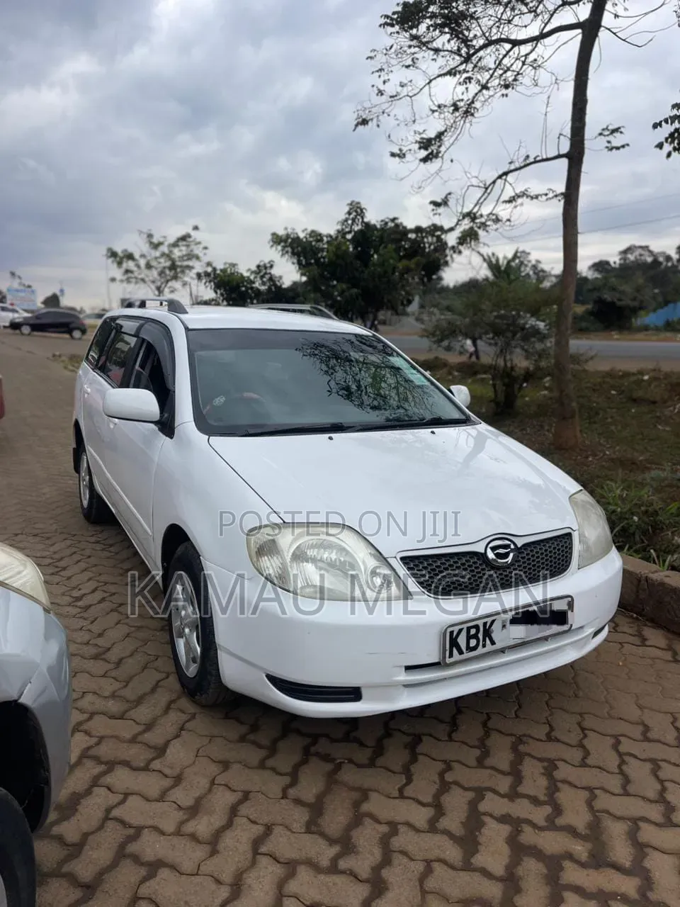 Toyota Corolla Fielder 2004 Off white
