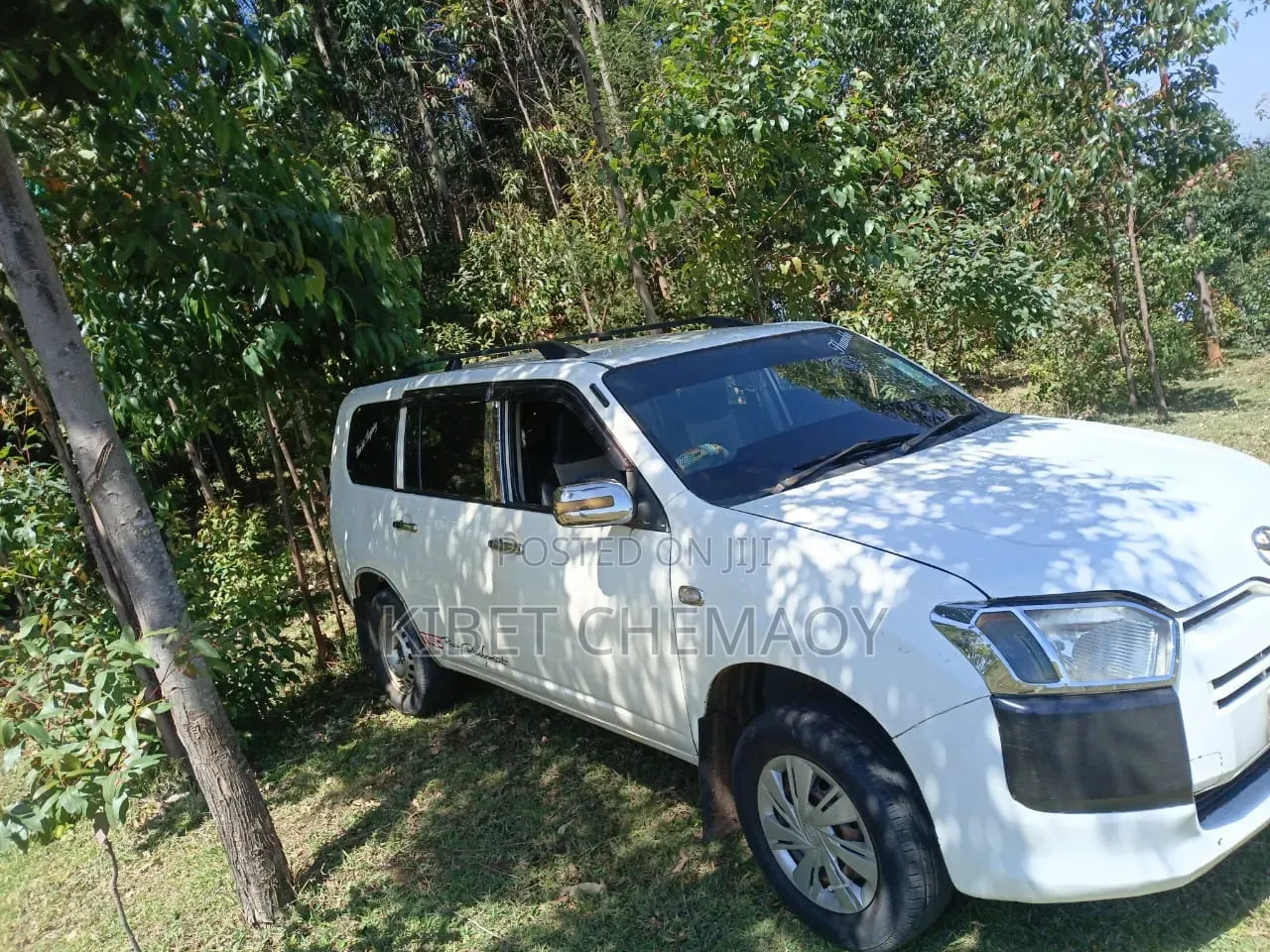 Toyota Probox 2013 White