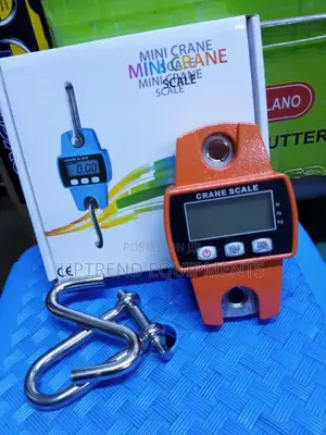 Affordable 300kg Crane