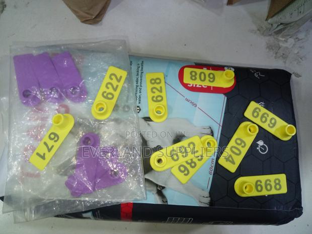 Ear Tags - Color Visibility Focus