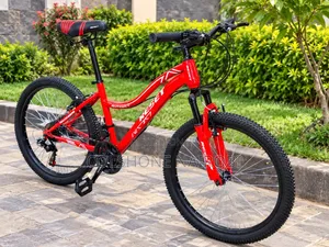 Resset Sport Mountain Bike Size 24