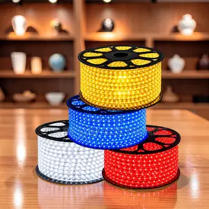 Long Lifespan 50Meter Outdoor Snake Light With Connector