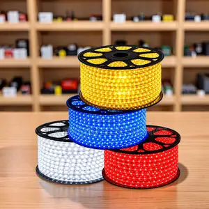 Vibrant Colors 50Meter Outdoor Snake Light With Connector