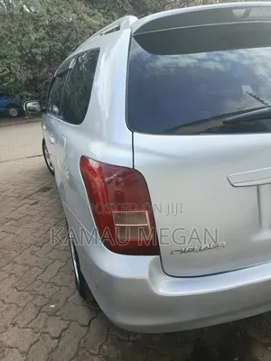 Toyota Corolla Fielder 2008 Silver