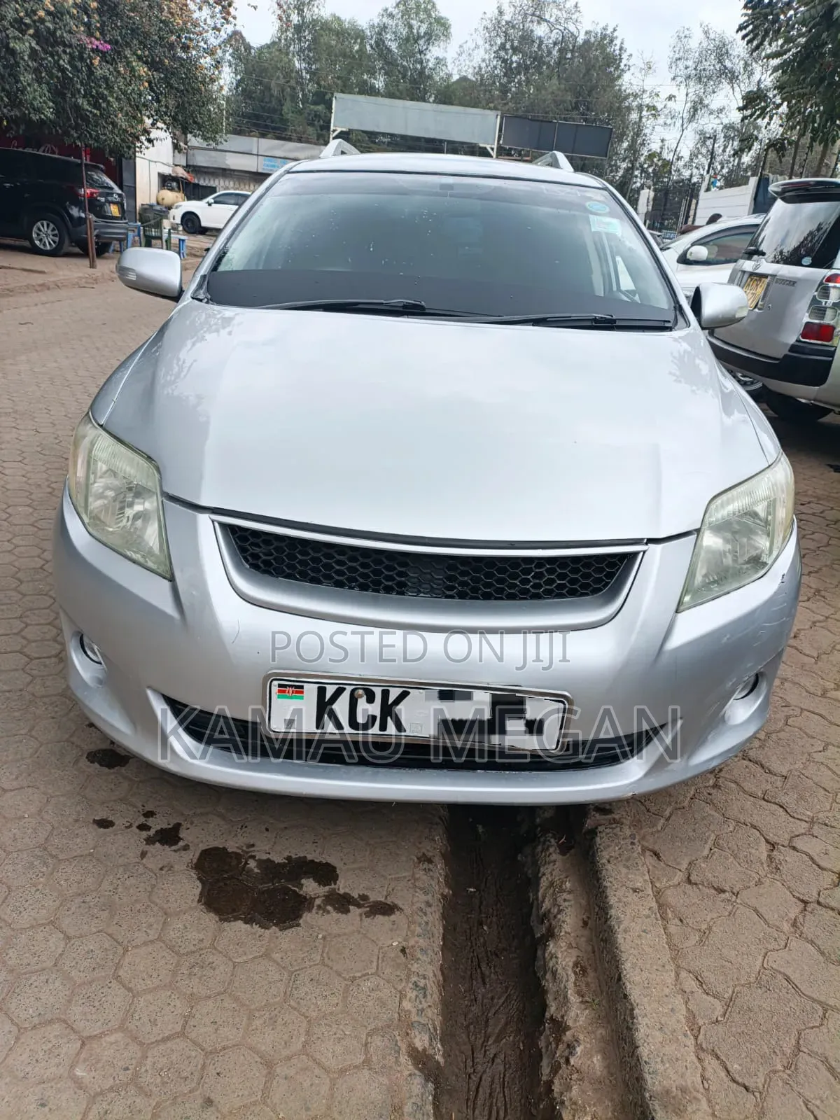 Toyota Corolla Fielder 2008 Silver