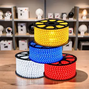 Warm Lighting 50Meter Outdoor Snake Light With Connector