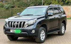 Toyota Land Cruiser Prado 2010 Gray