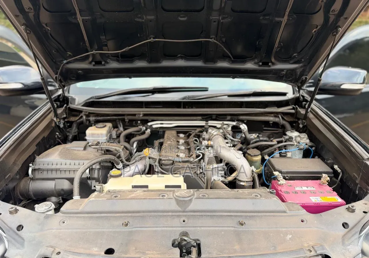 Toyota Land Cruiser Prado 2010 Gray