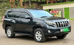 Toyota Land Cruiser Prado 2010 Gray