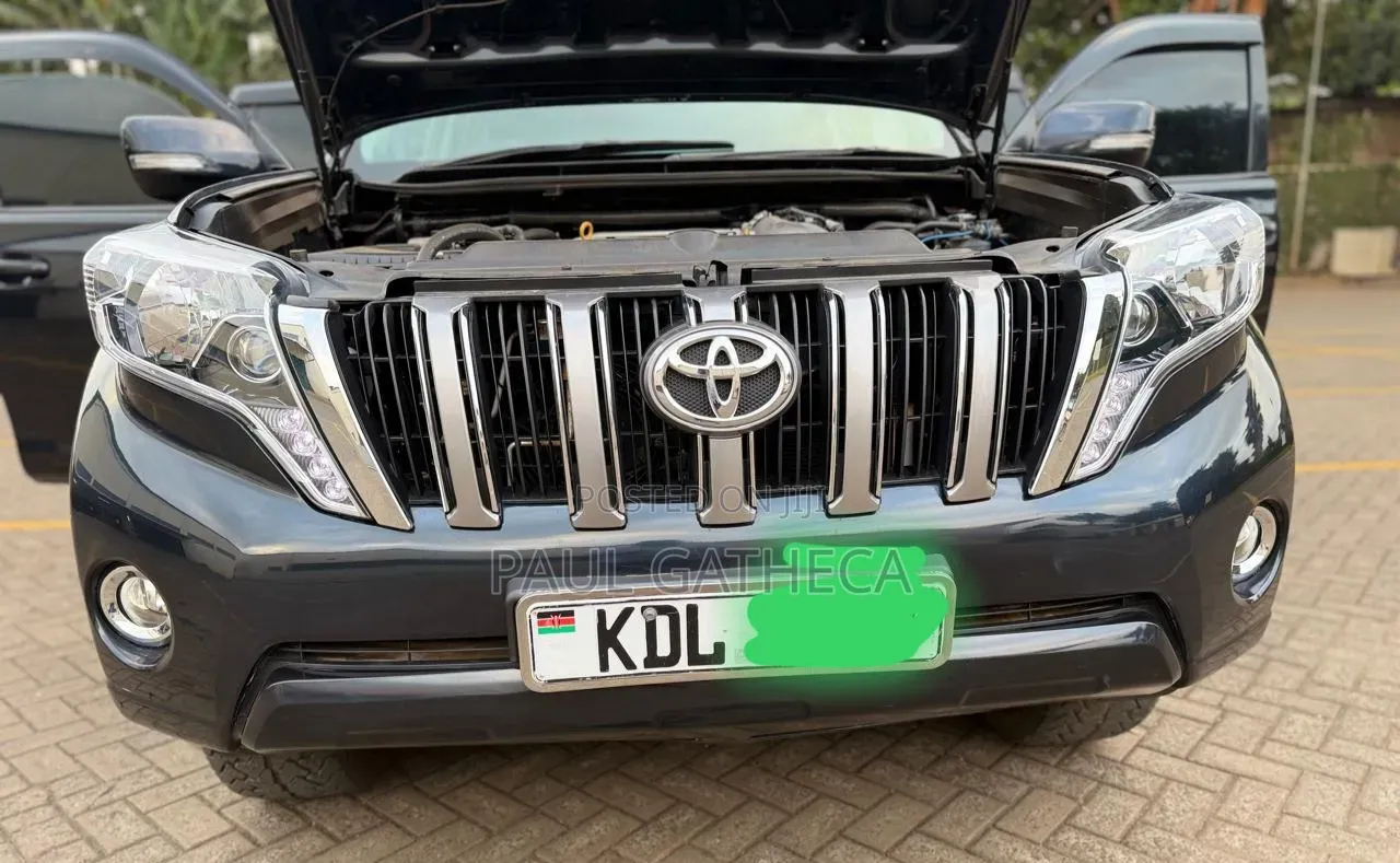 Toyota Land Cruiser Prado 2010 Gray
