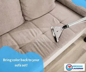 Sofa and Carpet Cleaning Services