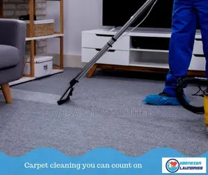 Sofa and Carpet Cleaning Services
