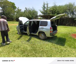 Toyota Probox 2014 Silver