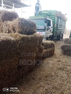 Boma Rhodes, Wheat Straws and Barley Straws Available No