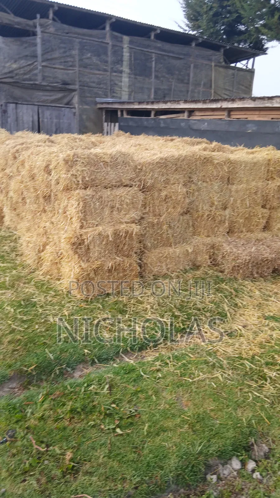 Boma Rhodes, Wheat Straws and Barley Straws Available No