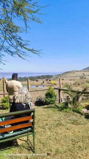 City Tour and National Parks Kenya