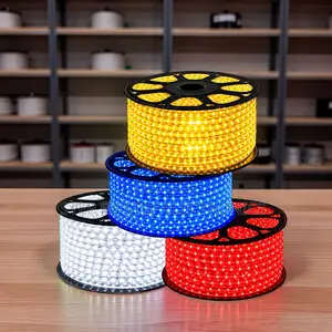 Red Lighting 50Meter Outdoor Snake Light With Connector