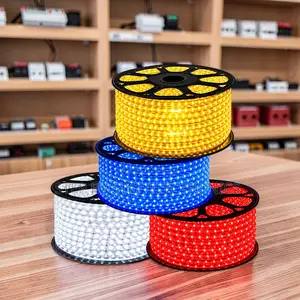 LED Technology 50Meter Outdoor Snake Light With Connector