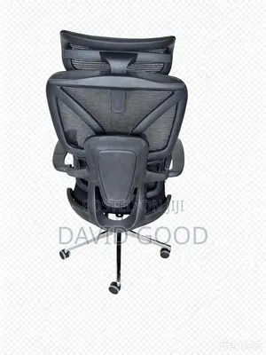 Orthopedic Office Chair With Footrest