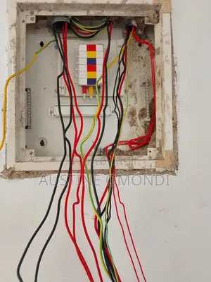 Professionale Electrical Services