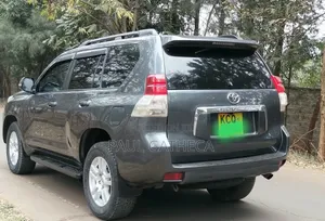 Toyota Land Cruiser Prado 2010 Gray