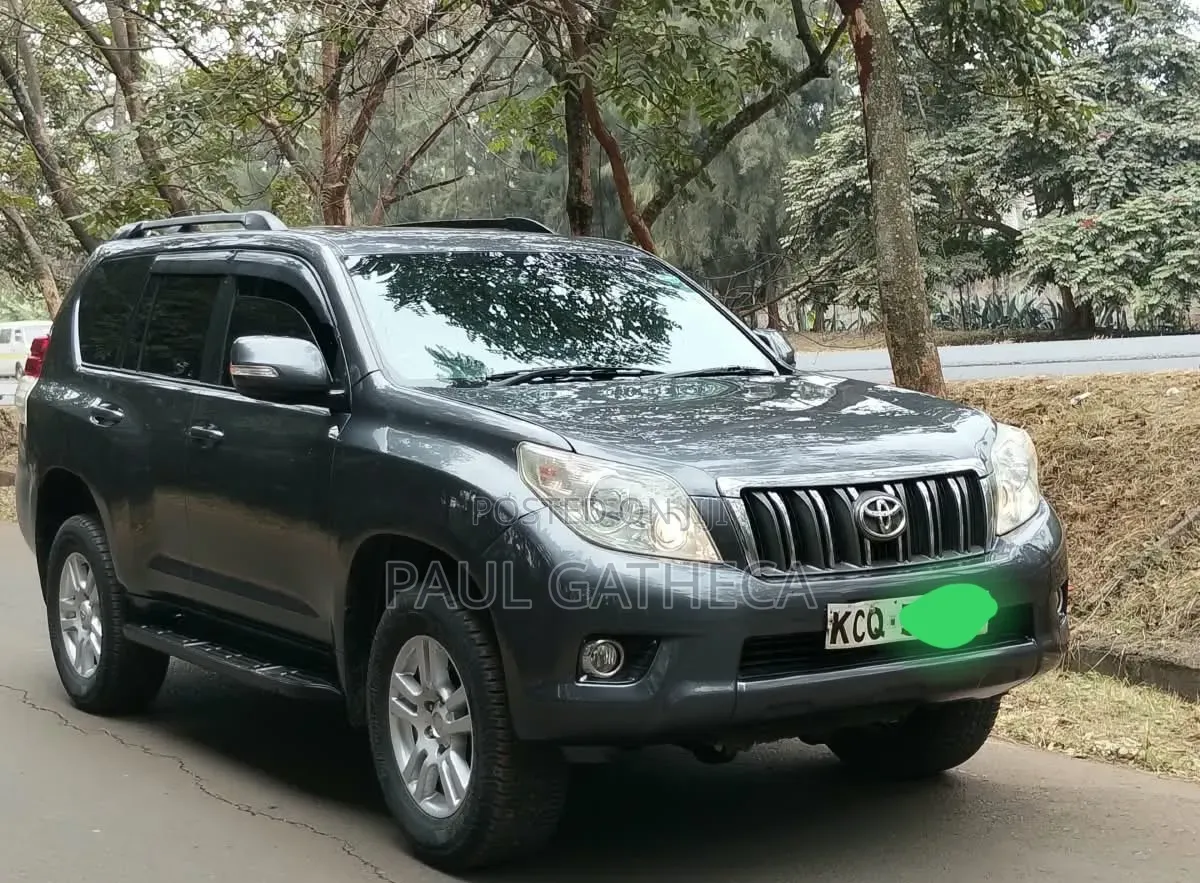Toyota Land Cruiser Prado 2010 Gray