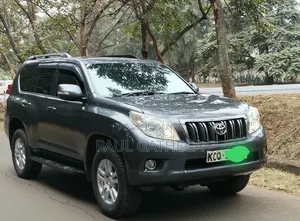 Toyota Land Cruiser Prado 2010 Gray