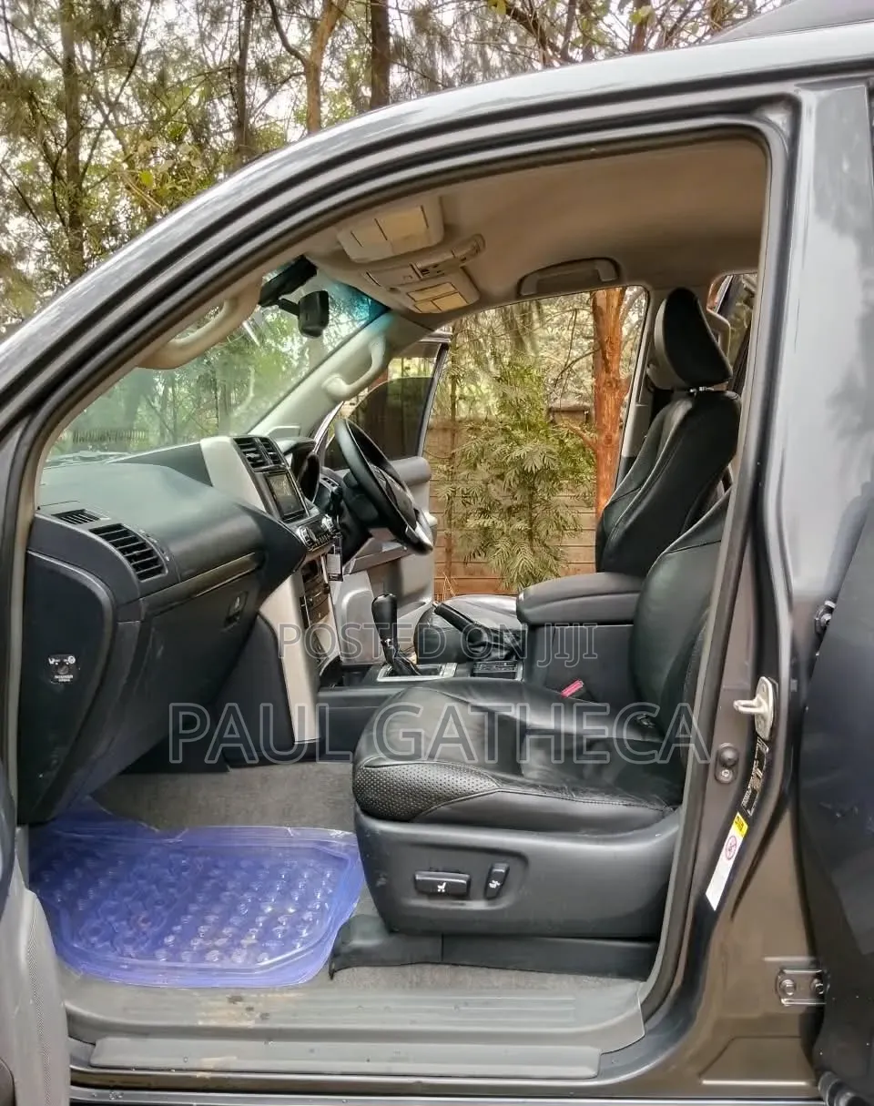 Toyota Land Cruiser Prado 2010 Gray