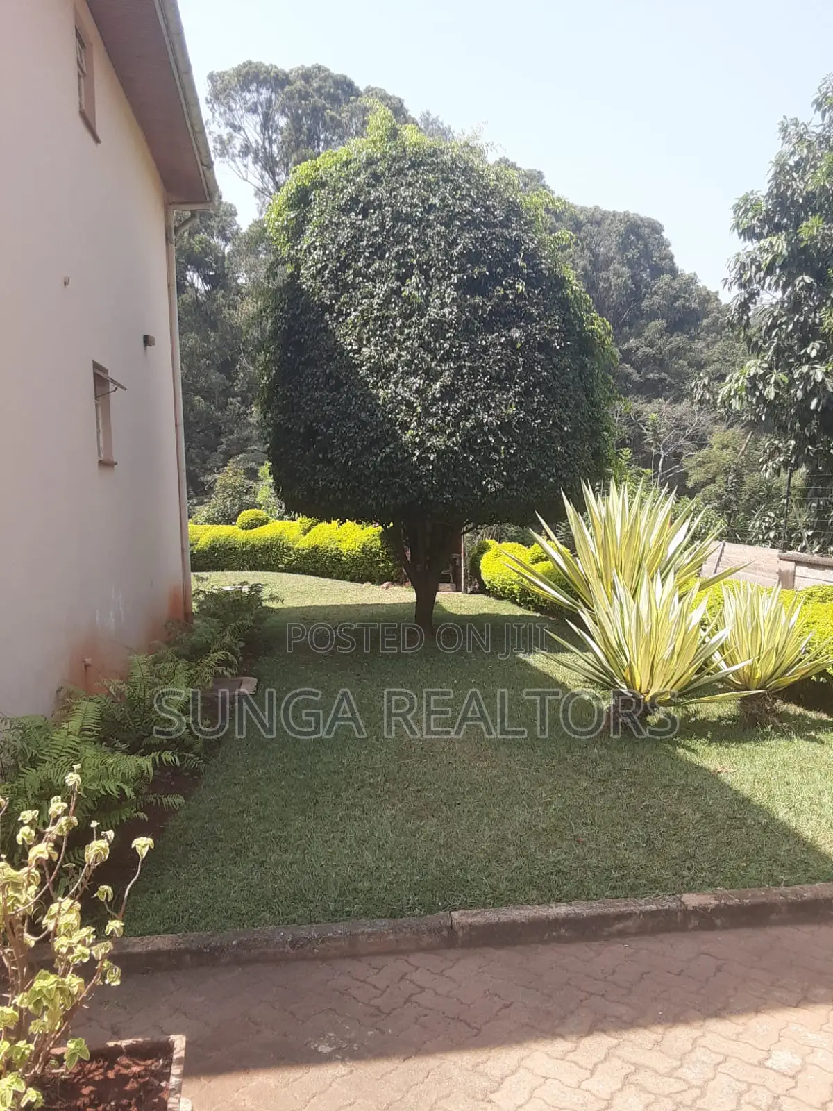 Furnished 3bdrm Apartment in Spring Valley for rent