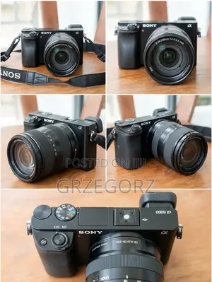 Sony Alpha A6000 Camera + Sony E 18-200mm F/3.5-6.3 OSS LE Lens Kit