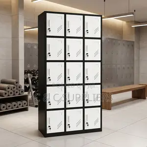 15-Door's Gym Cabinet